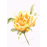 Country Sun: Artwork - Original