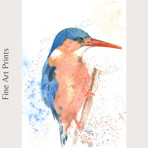 Vibrant Watcher, Malachite Kingfisher - Fine Art Print