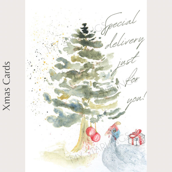 Special Delivery Gift Card - Small (A7)