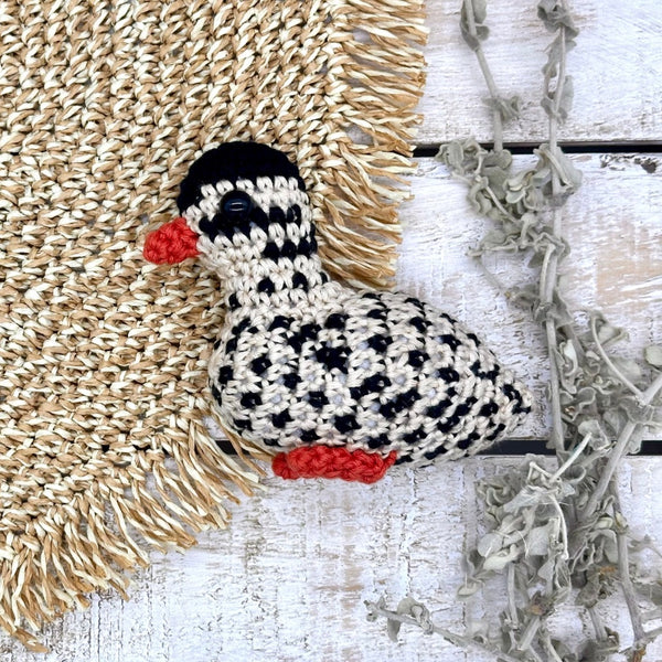 Guinea Fowl Baby (Keet)