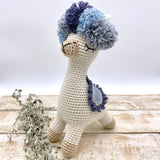 Funky Llama