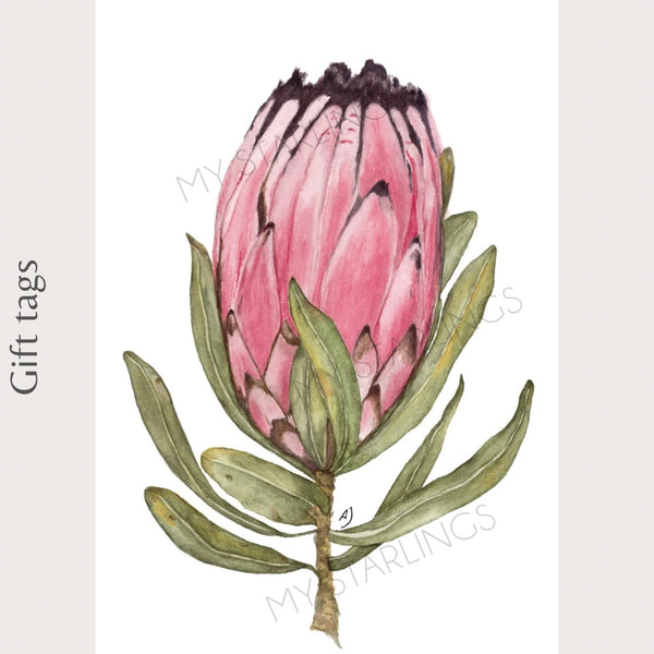 Protea Gift Tag (Single)