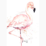 Greater Flamingo: Artwork - Original