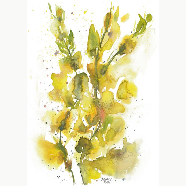 Sunlit Snaps: Artwork - Original