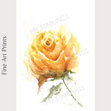 Sun Sprinkles Rose - Fine Art Print