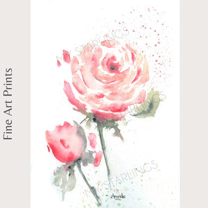 Rosey Radiance - Fine Art Print