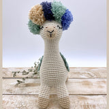 Funky Llama
