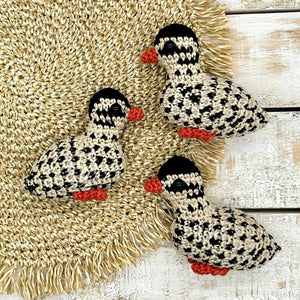 Guinea Fowl Baby (Keet)