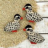 Guinea Fowl Baby (Keet)