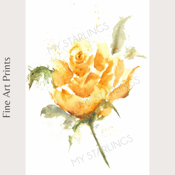 Country Sun - Fine Art Print