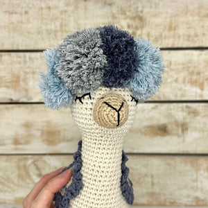 Funky Llama