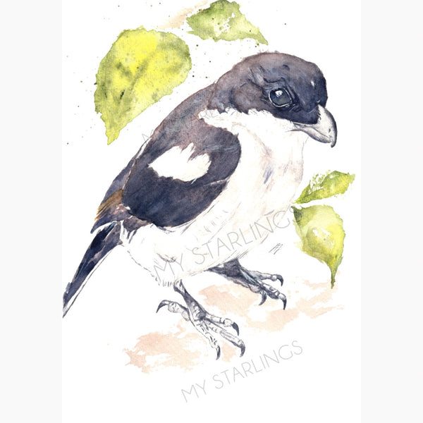 Lemon Tree Song: Artwork - Original