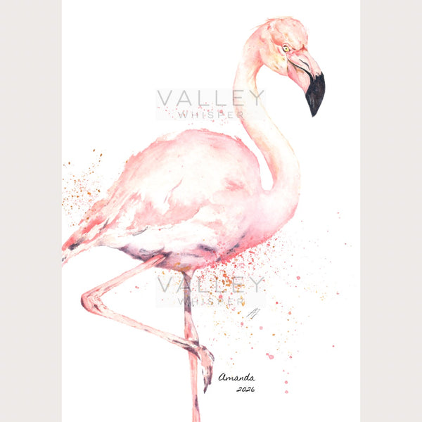 Greater Flamingo: Artwork - Original