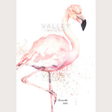 Greater Flamingo - Fine Art Print