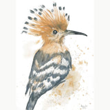 African Hoopoe: Artwork - Original