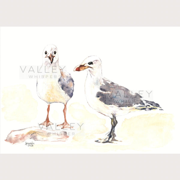 Seagull Adventures: Artwork - Original