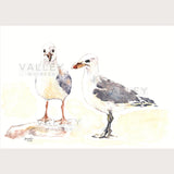 Seagull Adventures: Artwork - Original