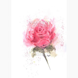 Soft Elegance: Artwork - Original
