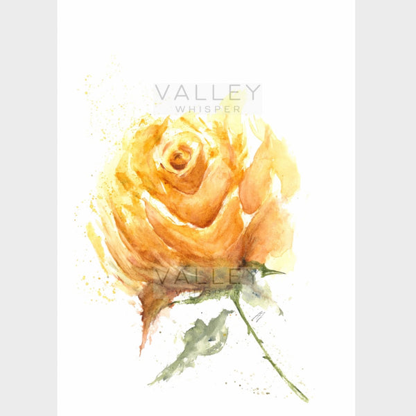 Sunburst Rose: Artwork - Original