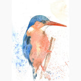 Vibrant Watcher - Fine Art Print